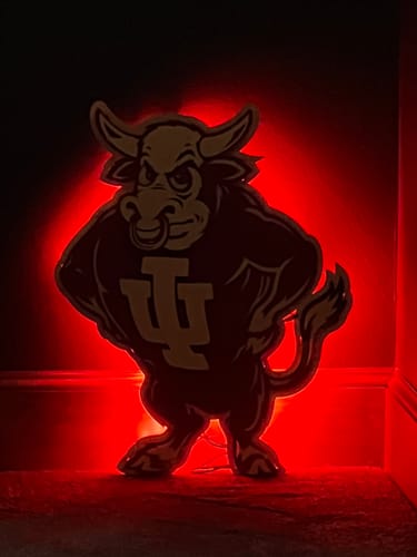 Customer photo review of Indiana Hoosiers "1960's BISON" 3D Vintage Metal Wall Art