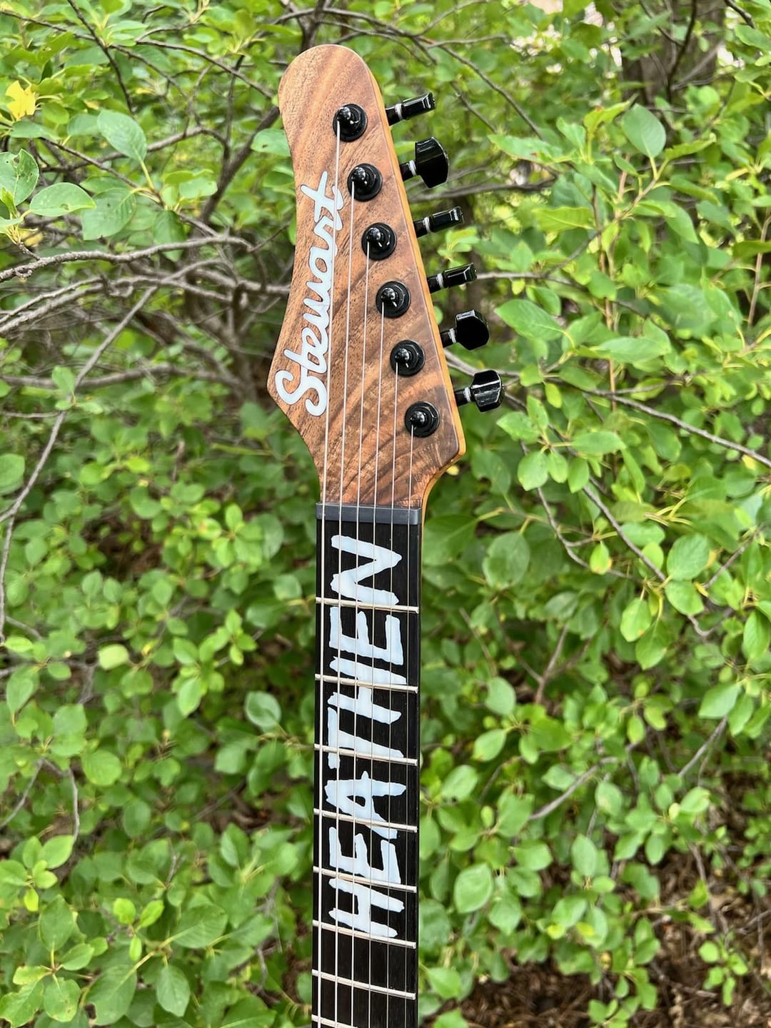 Customer photo review of Guitar Tuner Buttons (Sold Individually)