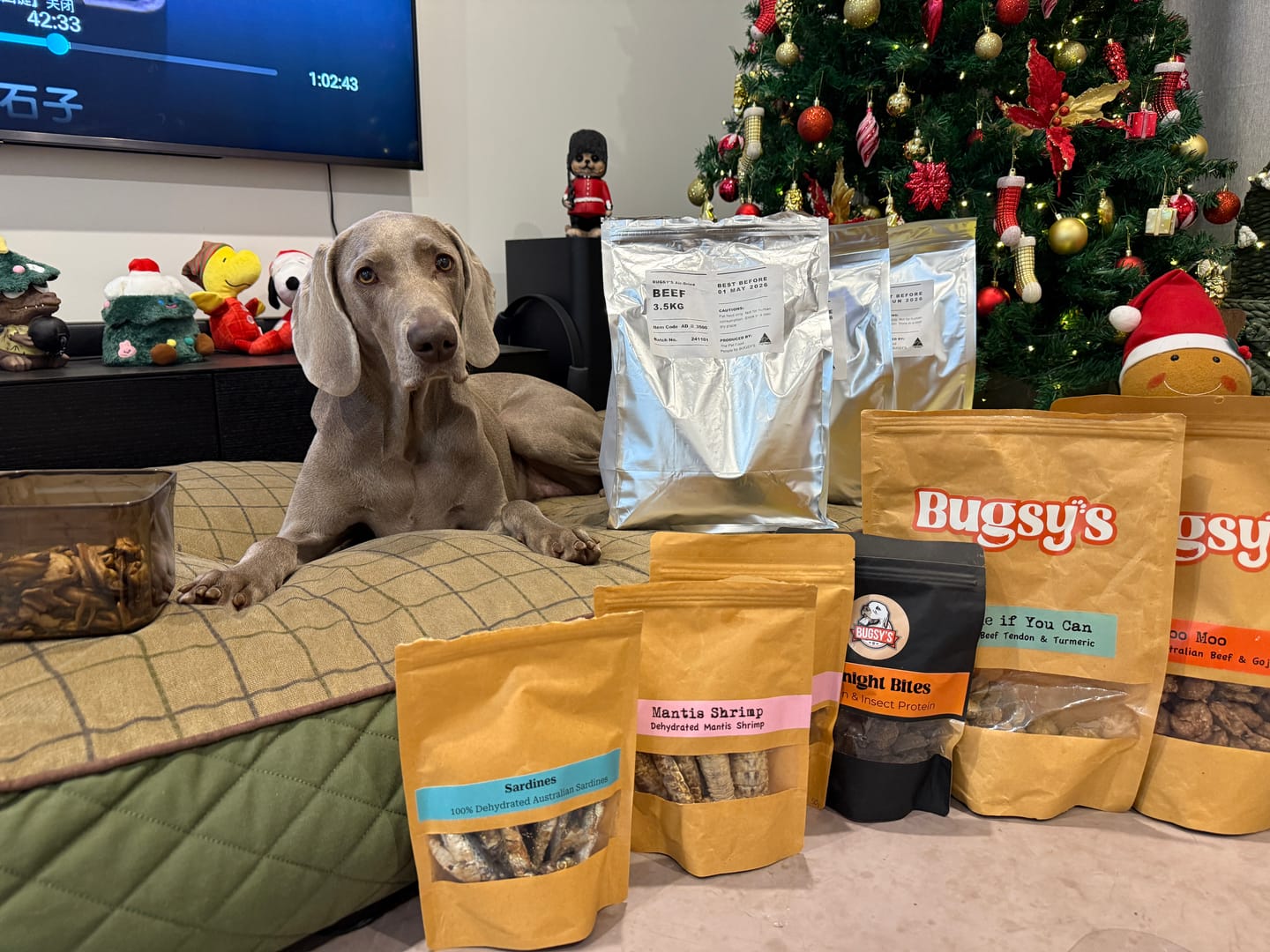 Customer photo review of Moo Moo | Beef & Goji Berry