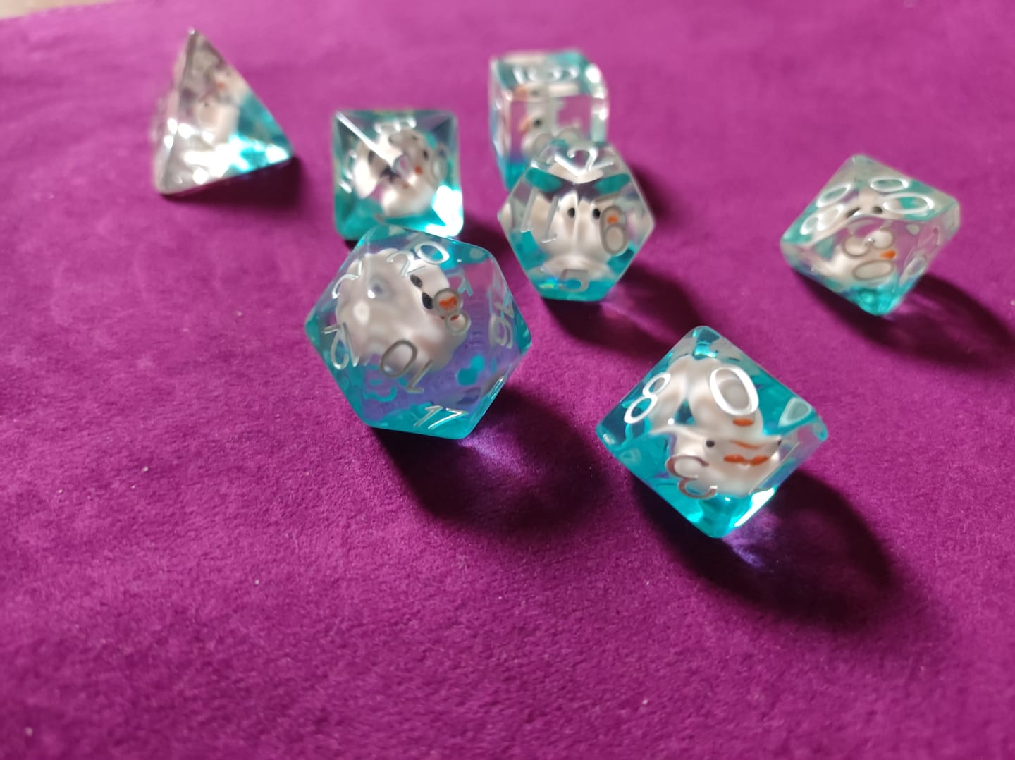 Customer photo review of Transparent Ducky - Dice Set