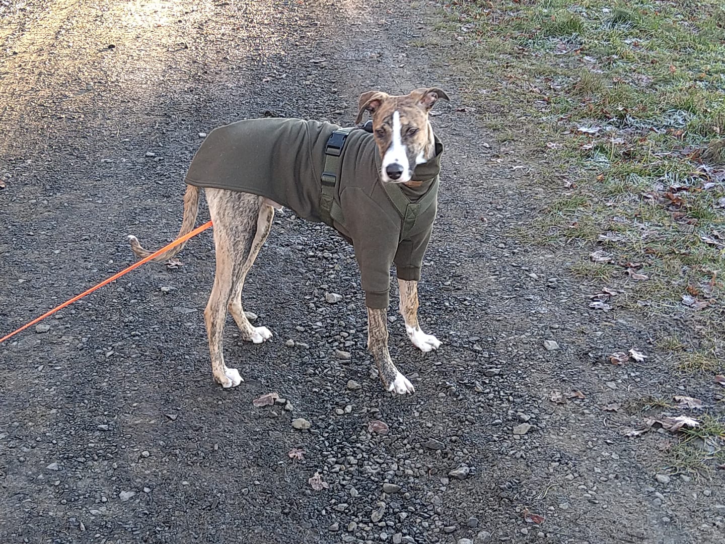 Customer photo review of Aspen "Mountain Green"