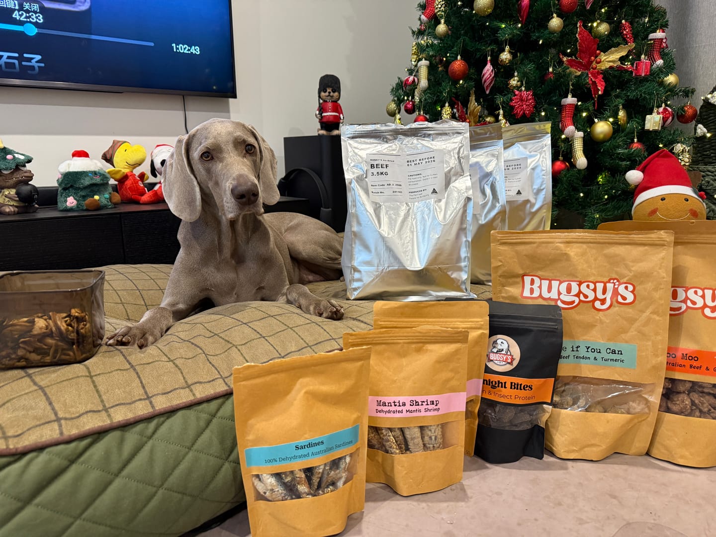 Customer photo review of Running Wild | Emu & Reishi