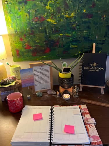 Customer photo review of 2025 Dreambook + Planner Bundles