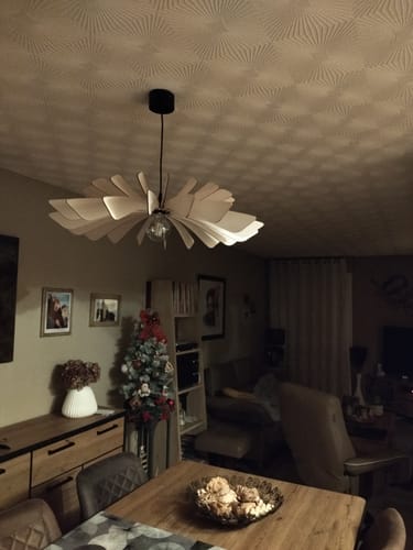 Customer photo review of Aurora | Suspension