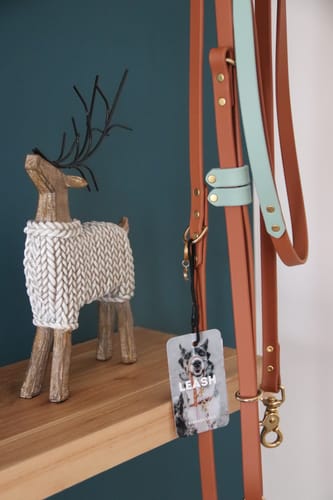 Customer photo review of Hands-Free Leash Adapter