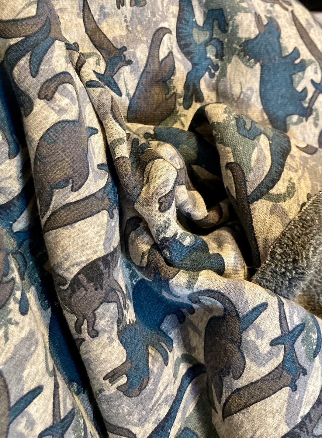 Customer photo review of Dinosaurs Sweatshirt Fabric