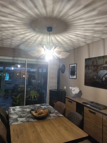 Customer photo review of Aurora | Suspension