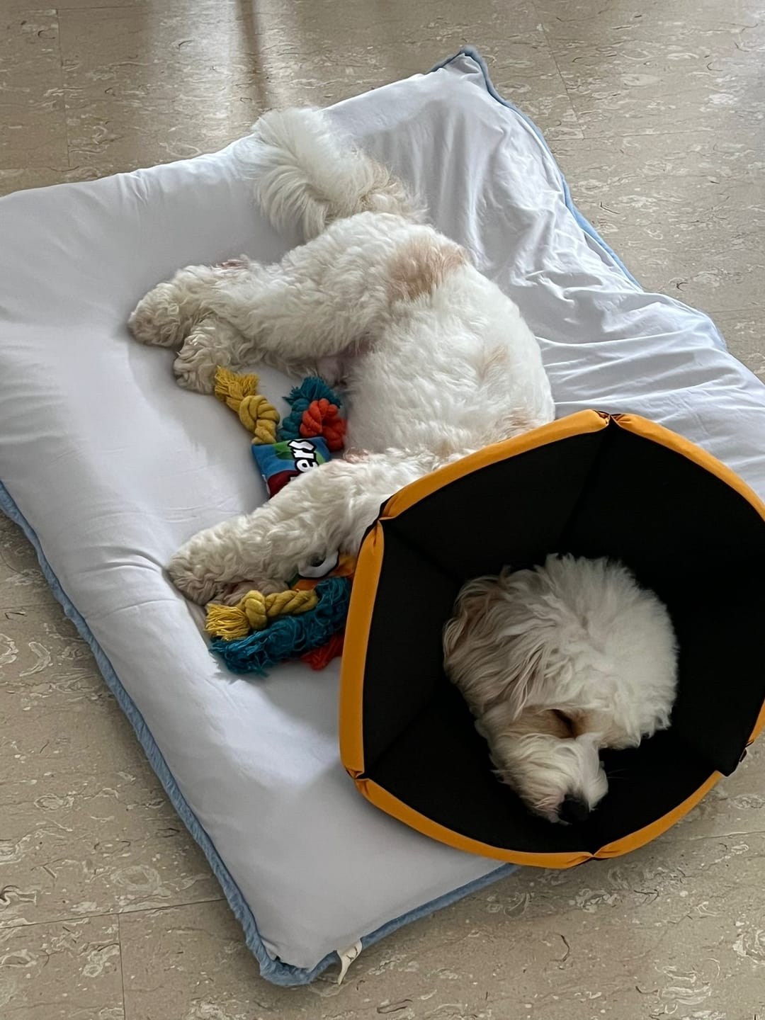 Customer photo review of Sleeping Blanket