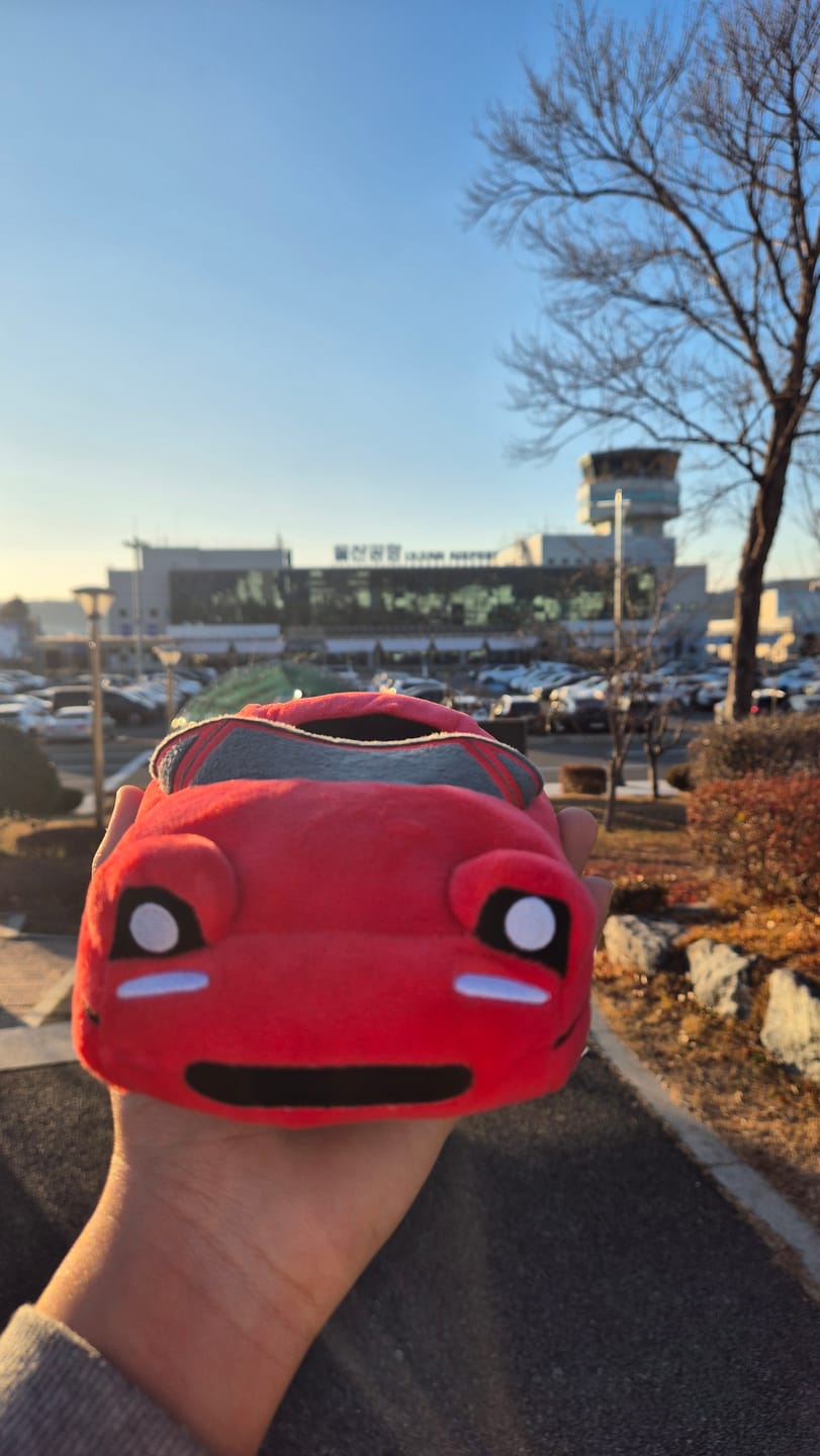 Customer photo review of Miata MX5 Plushie