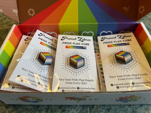 Customer photo review of Inclusive Flag - 3rd Edition Pins [Set]
