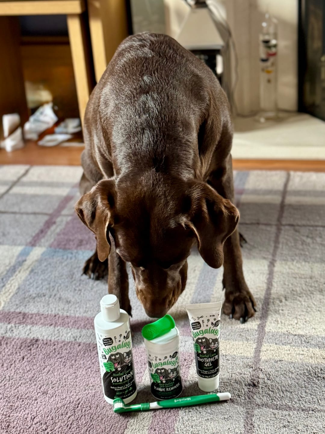 Customer photo review of Dental Starter Kit for Dogs & Cats