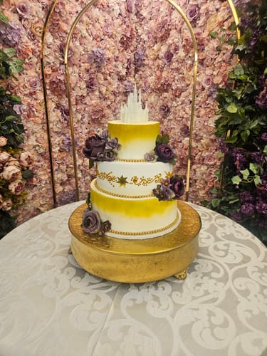 Customer photo review of Cinderella Castle Replica (Non light-up)