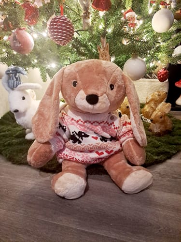 Customer photo review of Lotgenootje Konijn 2kg