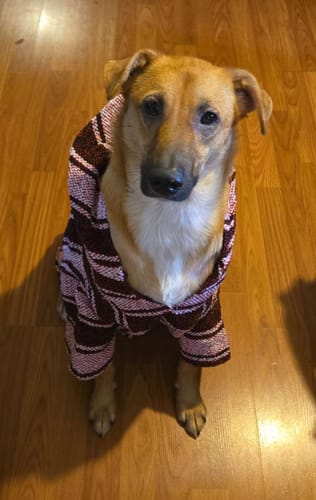 Customer photo review of Playa Poncho - Surprise Color