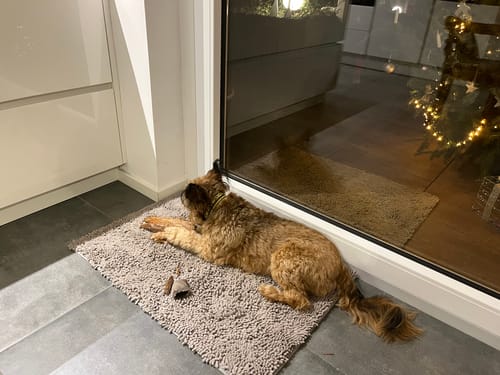 Customer photo review of Premium - CleanyMat