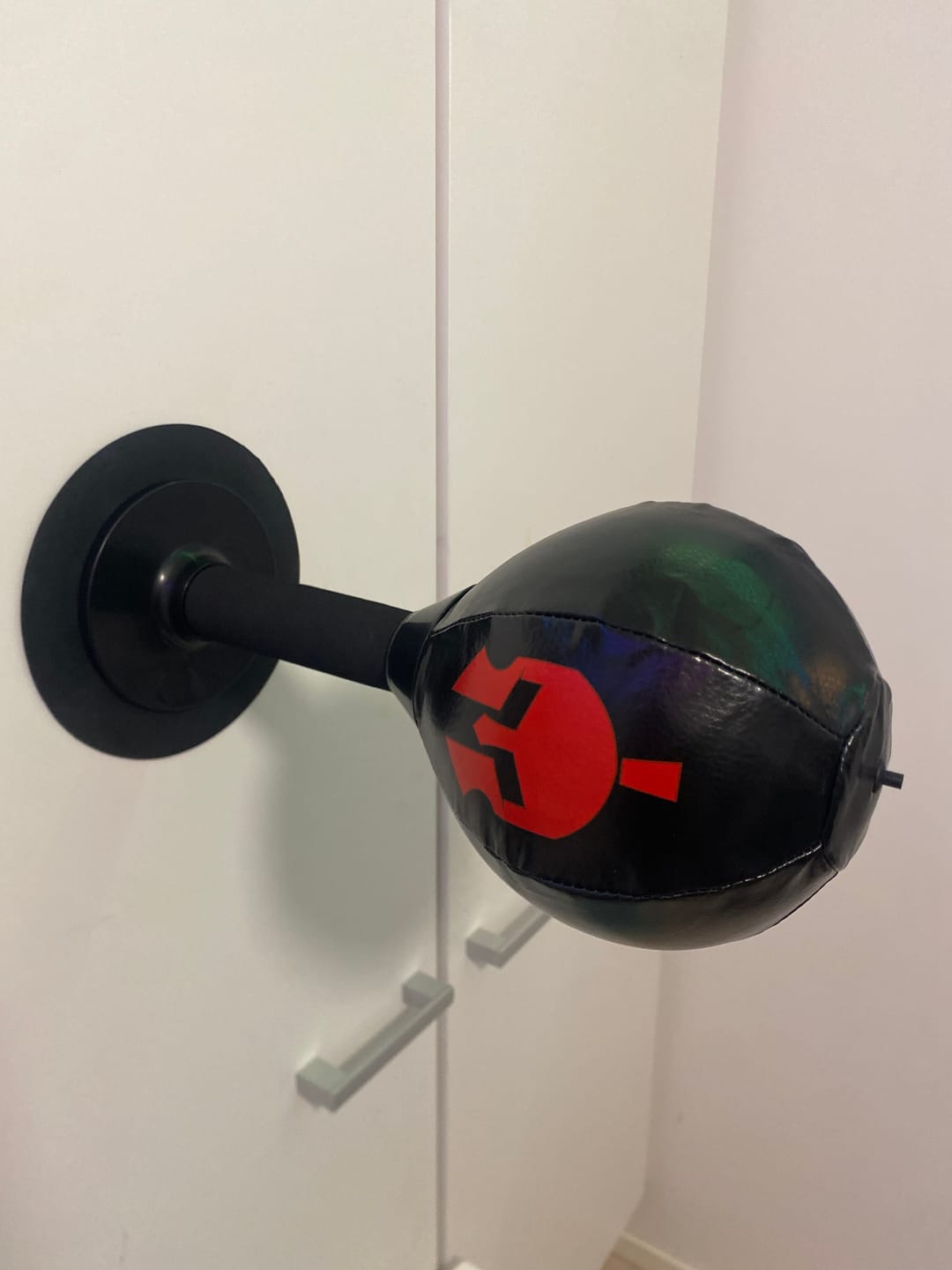 Customer photo review of Sparta Punch Bag