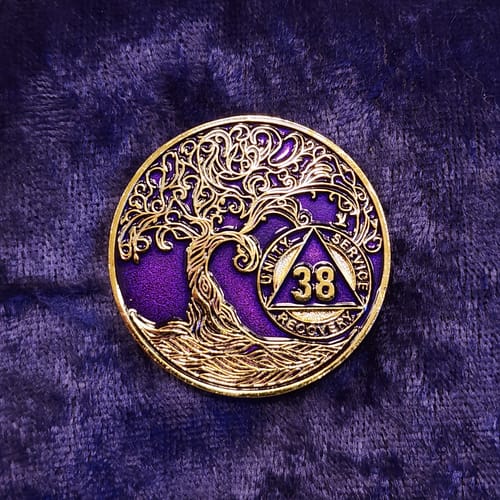 Customer photo review of 1 to 50 Year Sobriety Mint Twisted Tree of Life Gold Plated AA Recovery Medallion/Chip/Coin - Purple