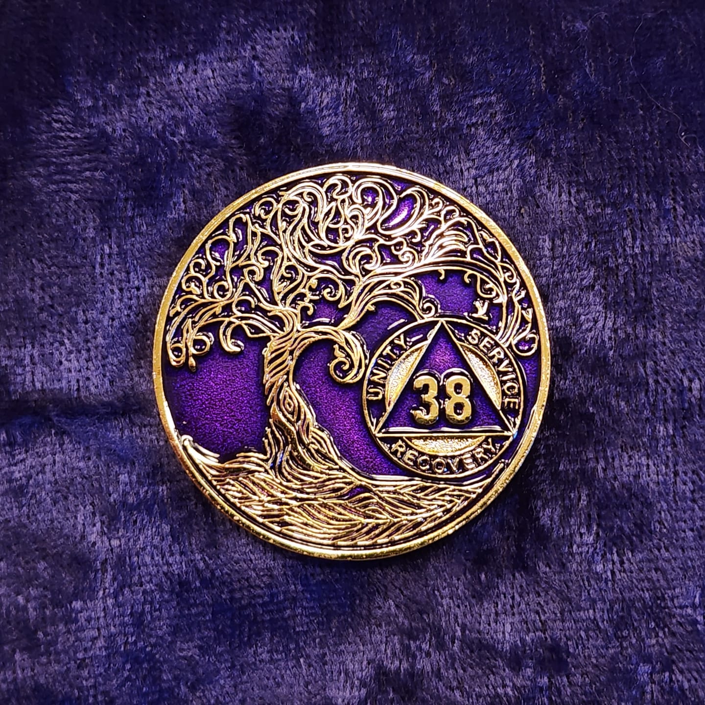 Customer photo review of 1 to 50 Year Sobriety Mint Twisted Tree of Life Gold Plated AA Recovery Medallion/Chip/Coin - Purple