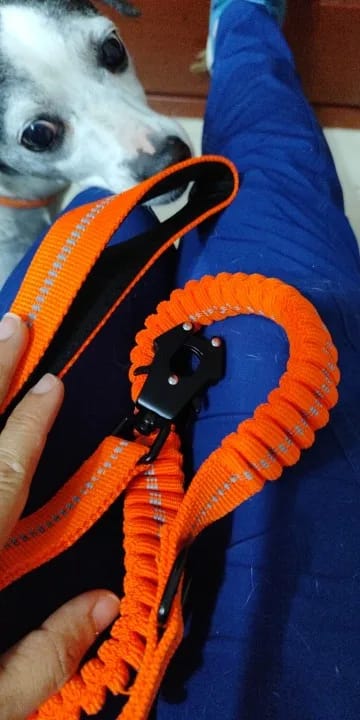 Customer photo review of Heavy-Duty Reflective Bungee Dog Leash with Car Seatbelt Attachment for Large Dogs - Tactical Shock-Absorbing No Pull Design