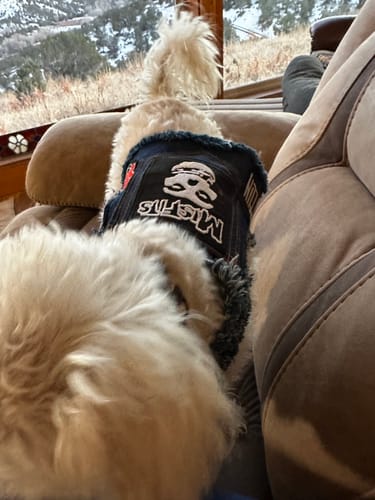 Customer photo review of Misfits Harness