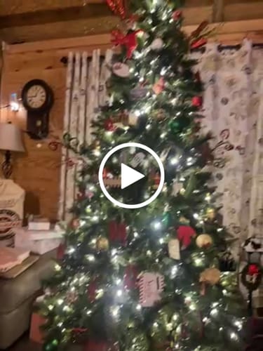 Customer video review of Crazy Busy Mama Exclusive Holiday Gift Set