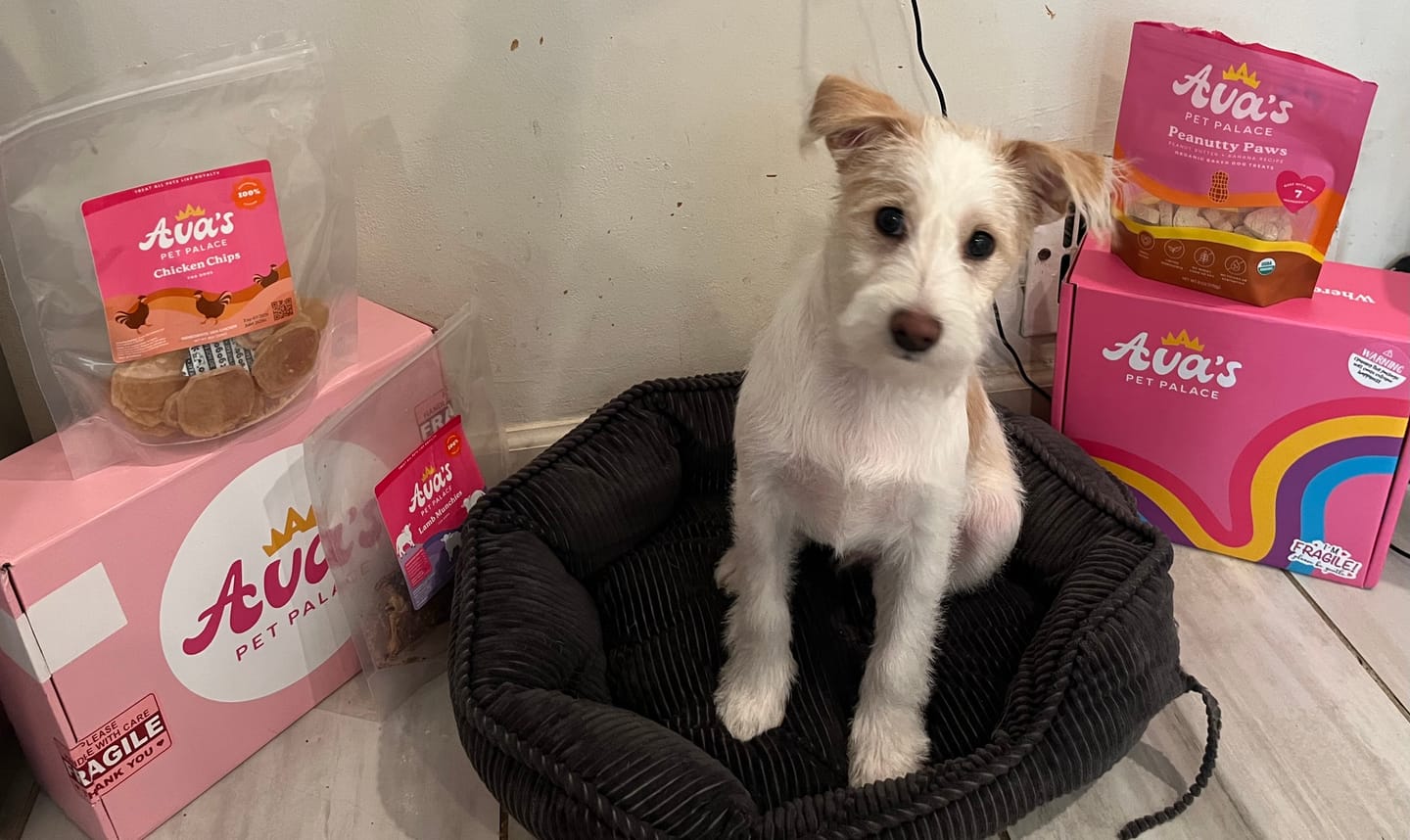 Customer photo review of Crispy Dog Treats - Chicken Chips