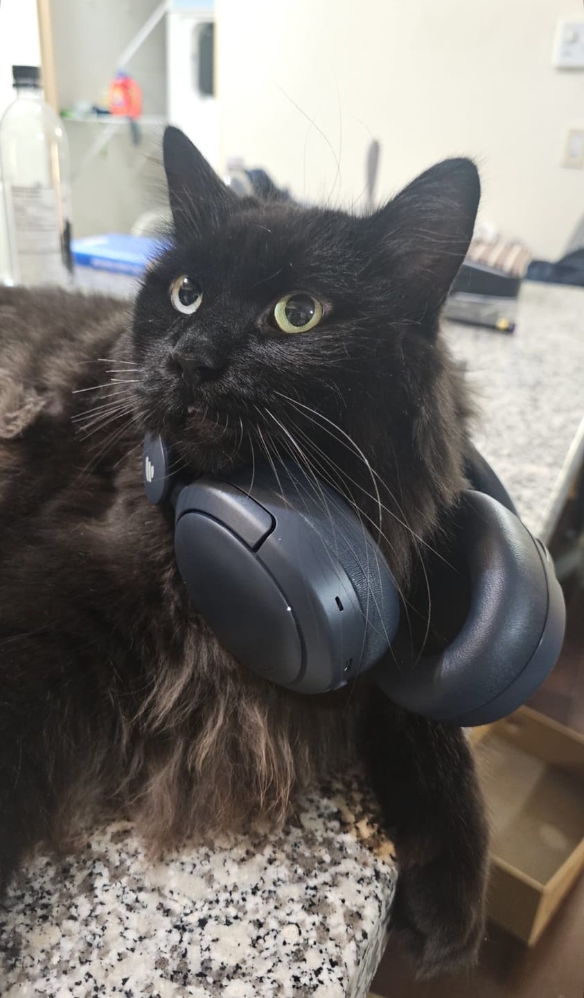 Customer photo review of V80 Hybrid Active Noise Cancelling Headphones