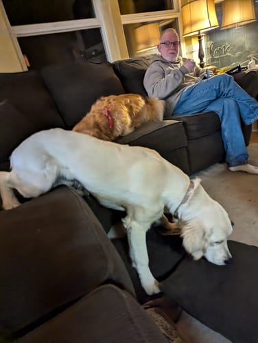 Customer photo review of Nylon-Woodfilled Chew Toys - USA Made