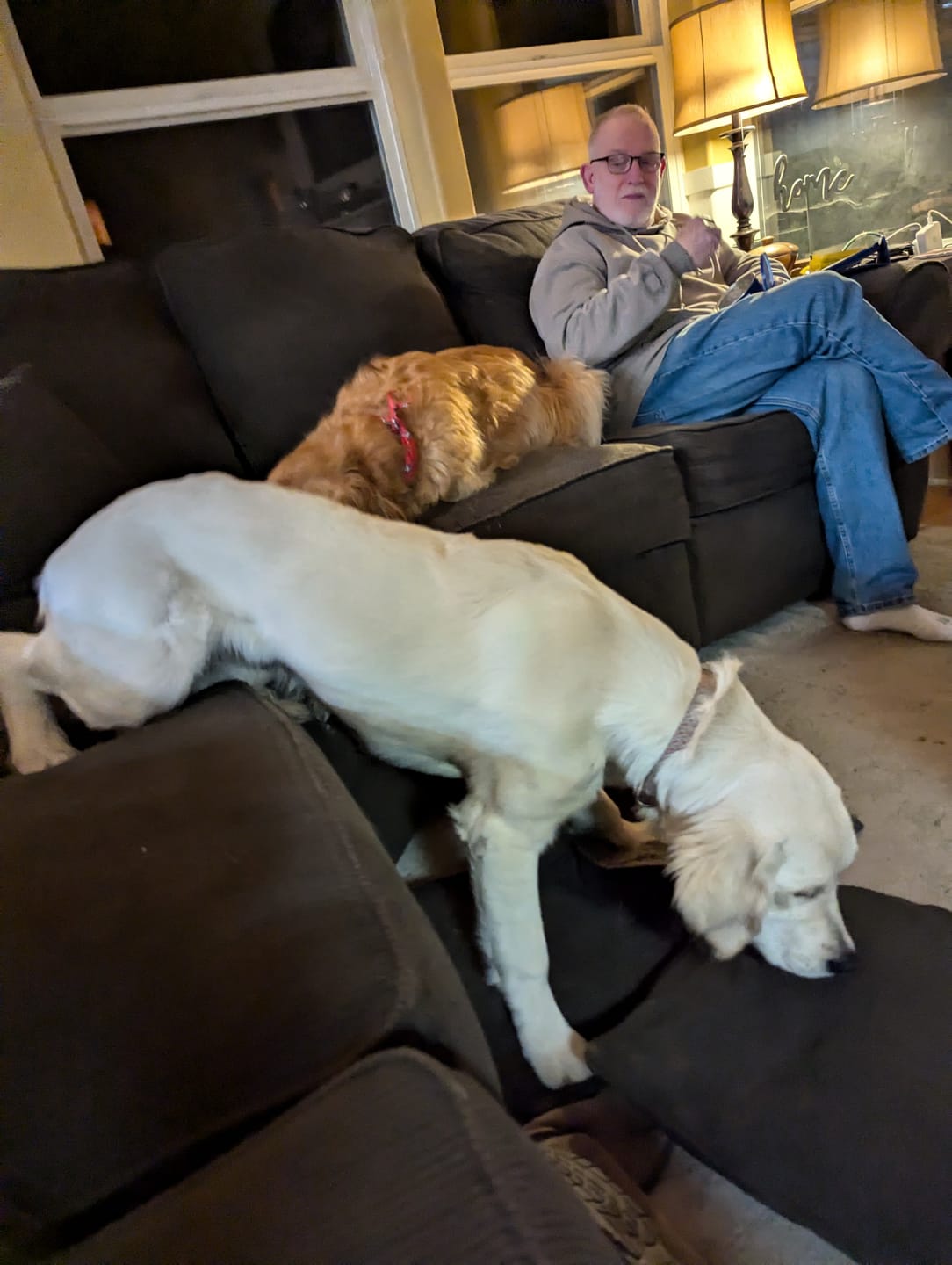 Customer photo review of Nylon-Woodfilled Chew Toys - USA Made