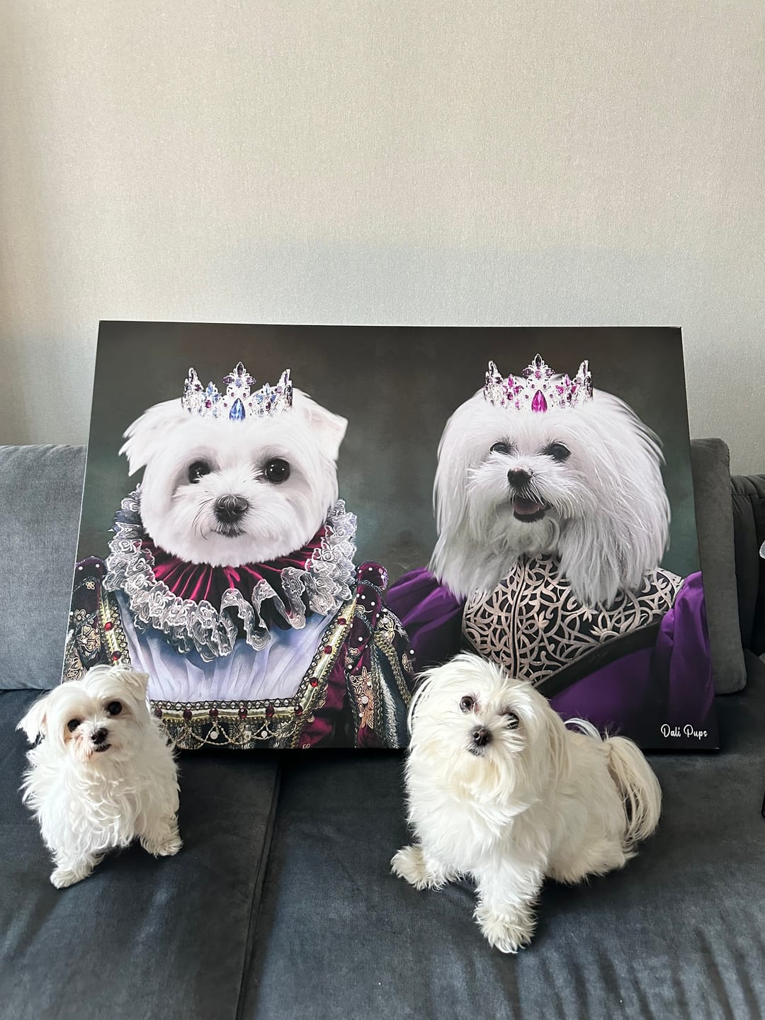 Customer photo review of Ladies of Versailles