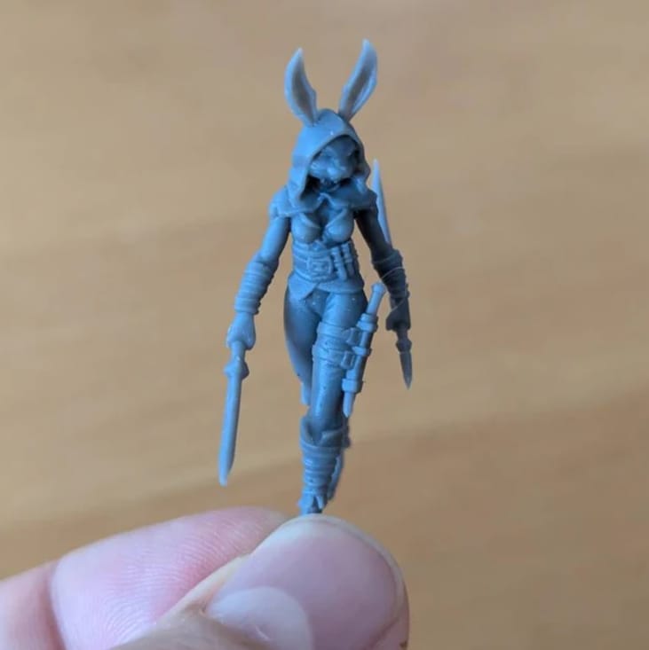Customer photo review of Harengon, Rogue