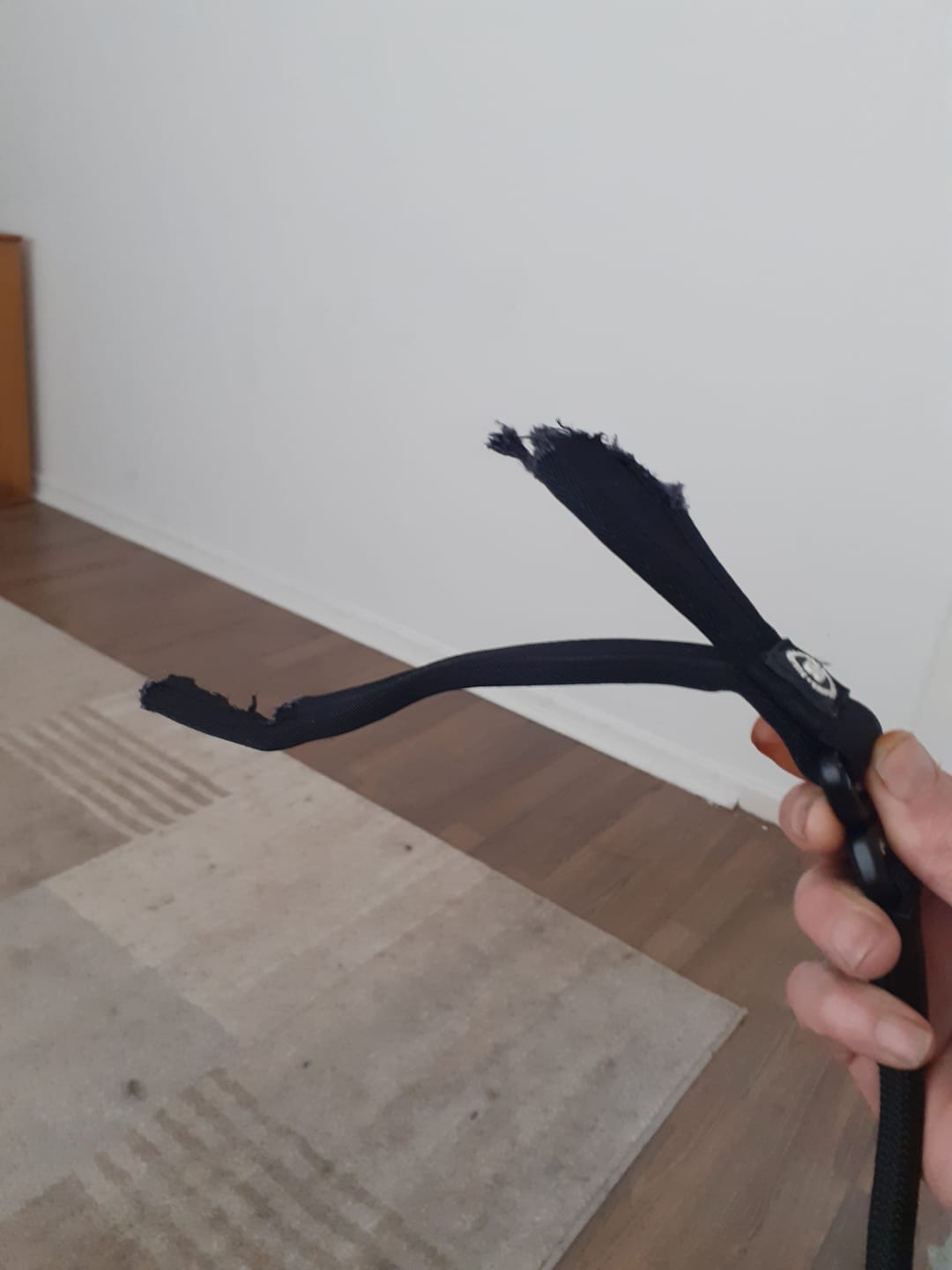 Customer photo review of Slip Training Lead | Anti Pull & No Choking -  Black