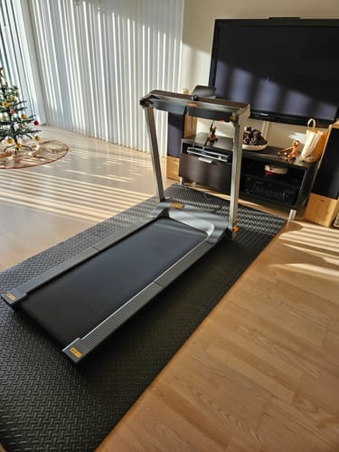 Customer photo review of WalkingPad G1