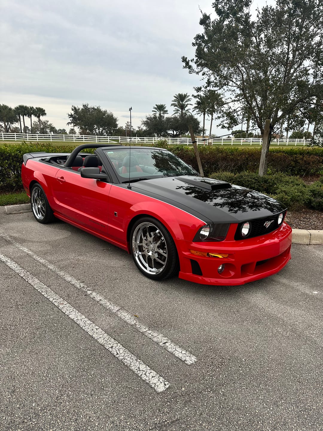 Customer photo review of ADAPT - Waterless Wash