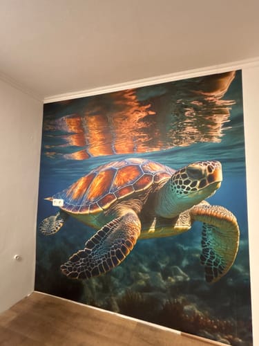 Customer photo review of Fototapete "Schildkröte Unterwasser"