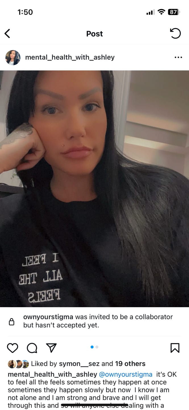 Customer photo review of I Feel All The Feels Embroidered T-Shirt