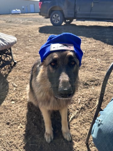 Customer photo review of Custom Beanies Leather Patch