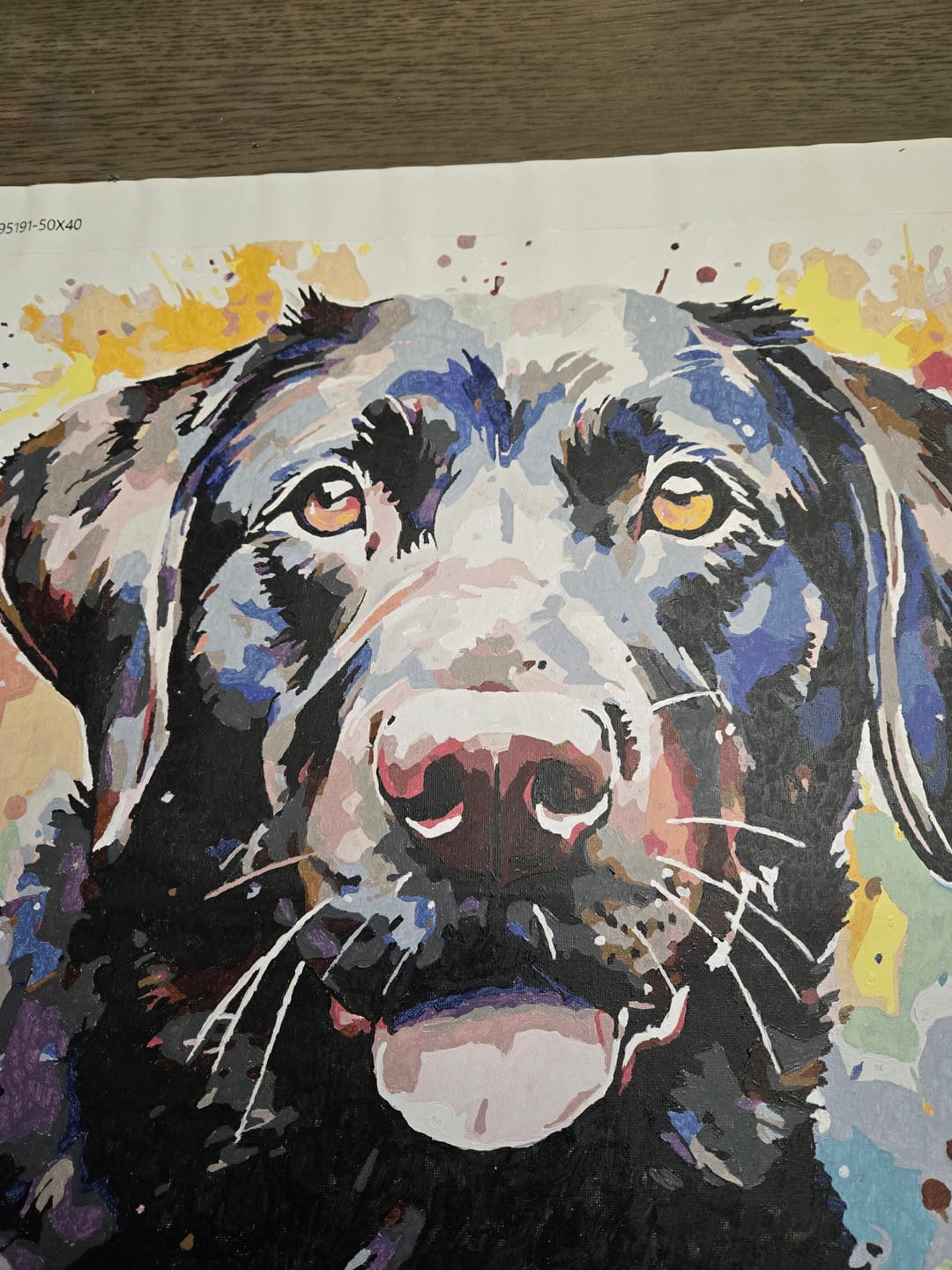 Customer photo review of Watercolor Dark Labrador  Paint by Numbers Kit