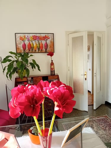 Customer photo review of Murale di Vasi