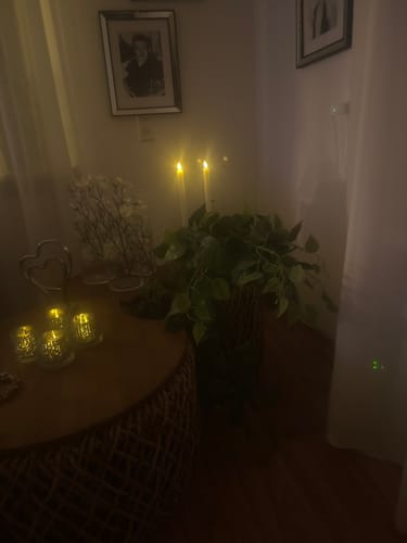 Customer photo review of Philodendron Kunst Hangplant 90cm