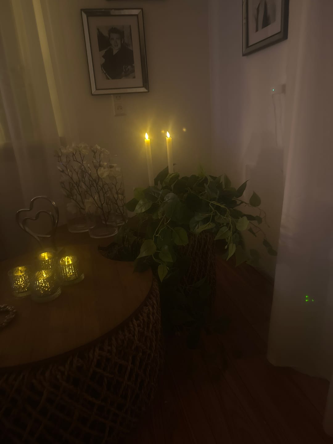 Customer photo review of Philodendron Kunst Hangplant 90cm