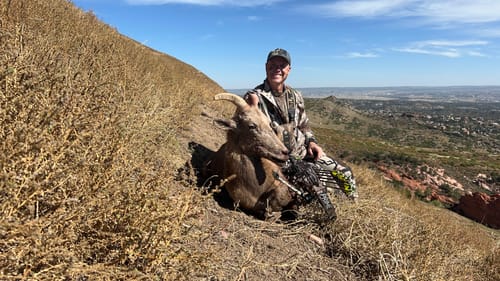 Customer photo review of Beast Broadheads