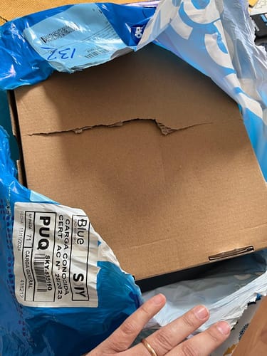 Customer photo review of Botín Original 2.0 Café Rústico Mujer