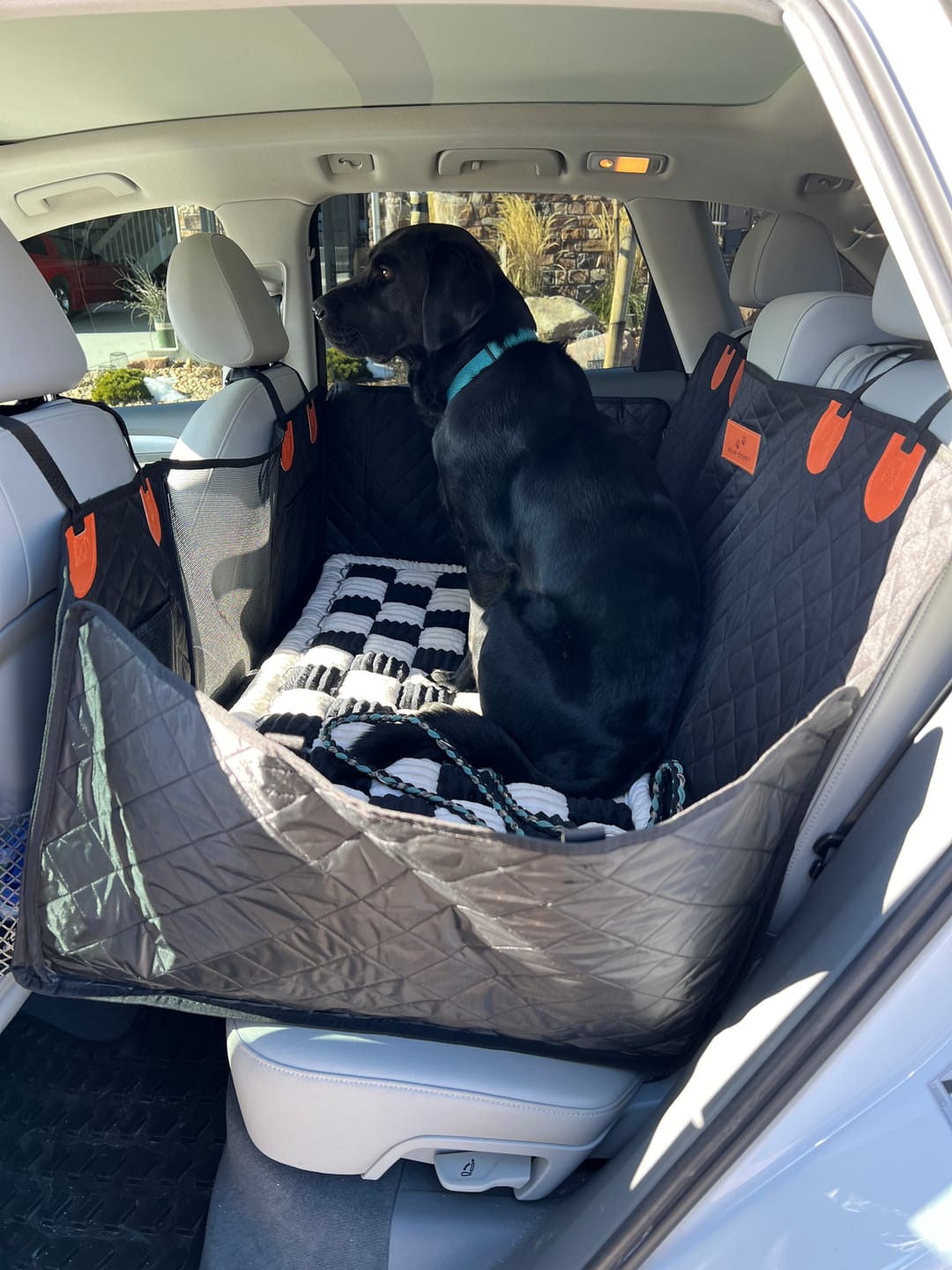 Customer photo review of Cozy Cushion™