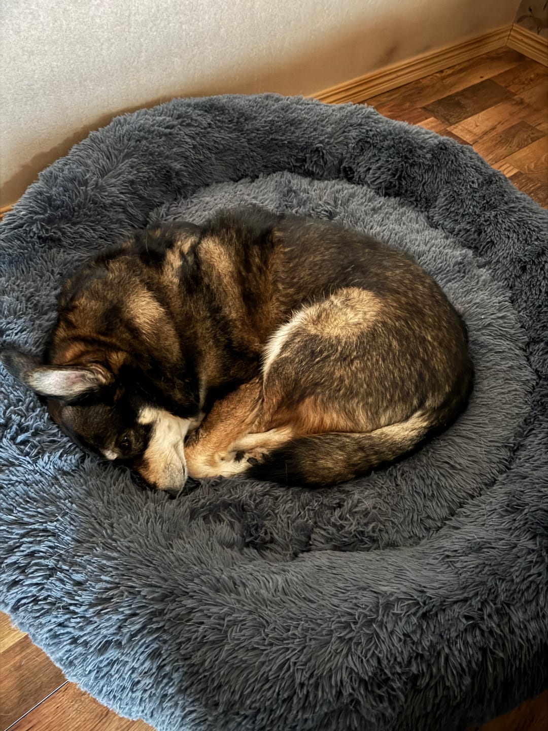 Customer photo review of CalmBed - Motverkar stress & hjälper mot ångest