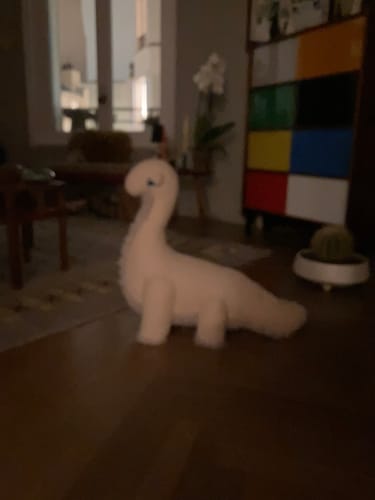 Customer photo review of The Dinosaur