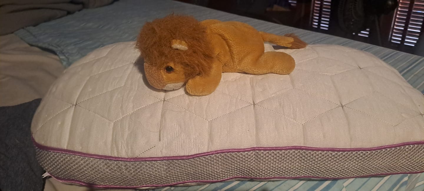 Customer photo review of Travesseiro IWS Snow® Kids