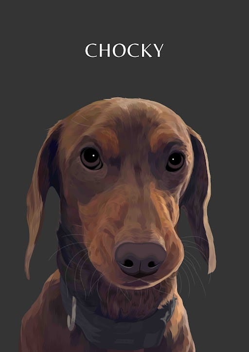 Customer photo review of One-Pet Portrait