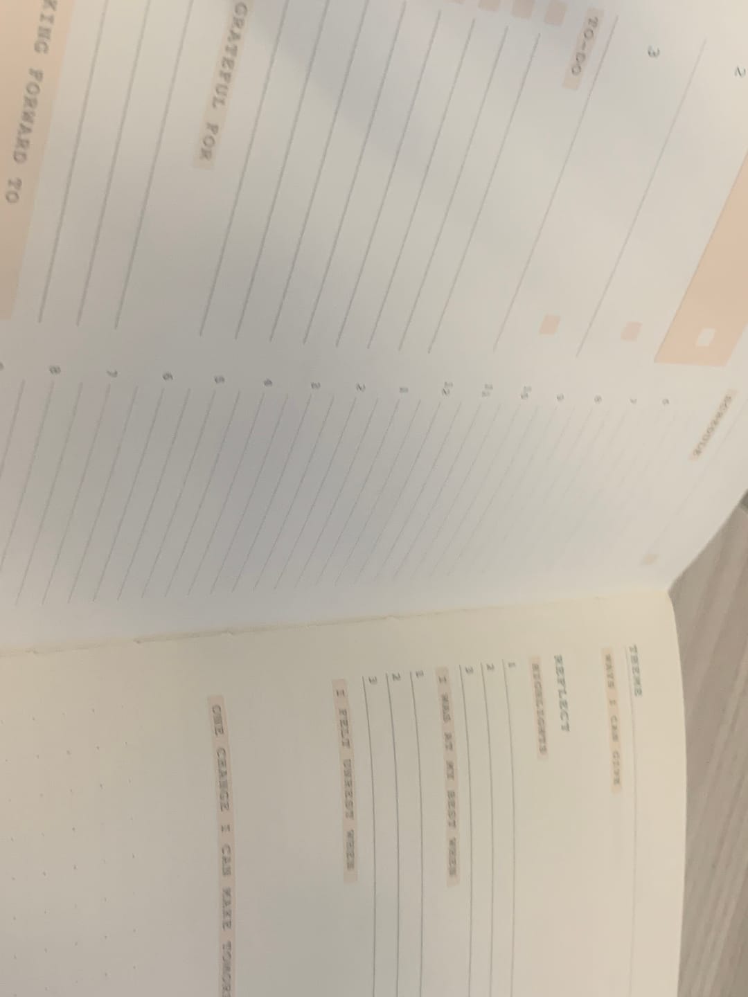 Customer photo review of Monk Manual™ 90-Day Planner