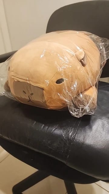 Customer photo review of Kawaii Capybara Plushie Pillows